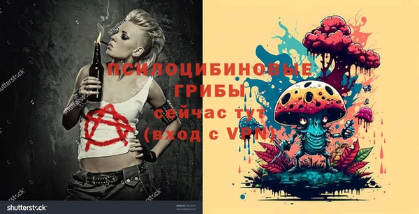 мяу мяу мука Богданович