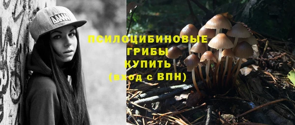 ALPHA PVP Бородино