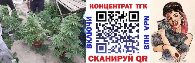 как найти закладки гидра tor ТГК вейп Красный Кут